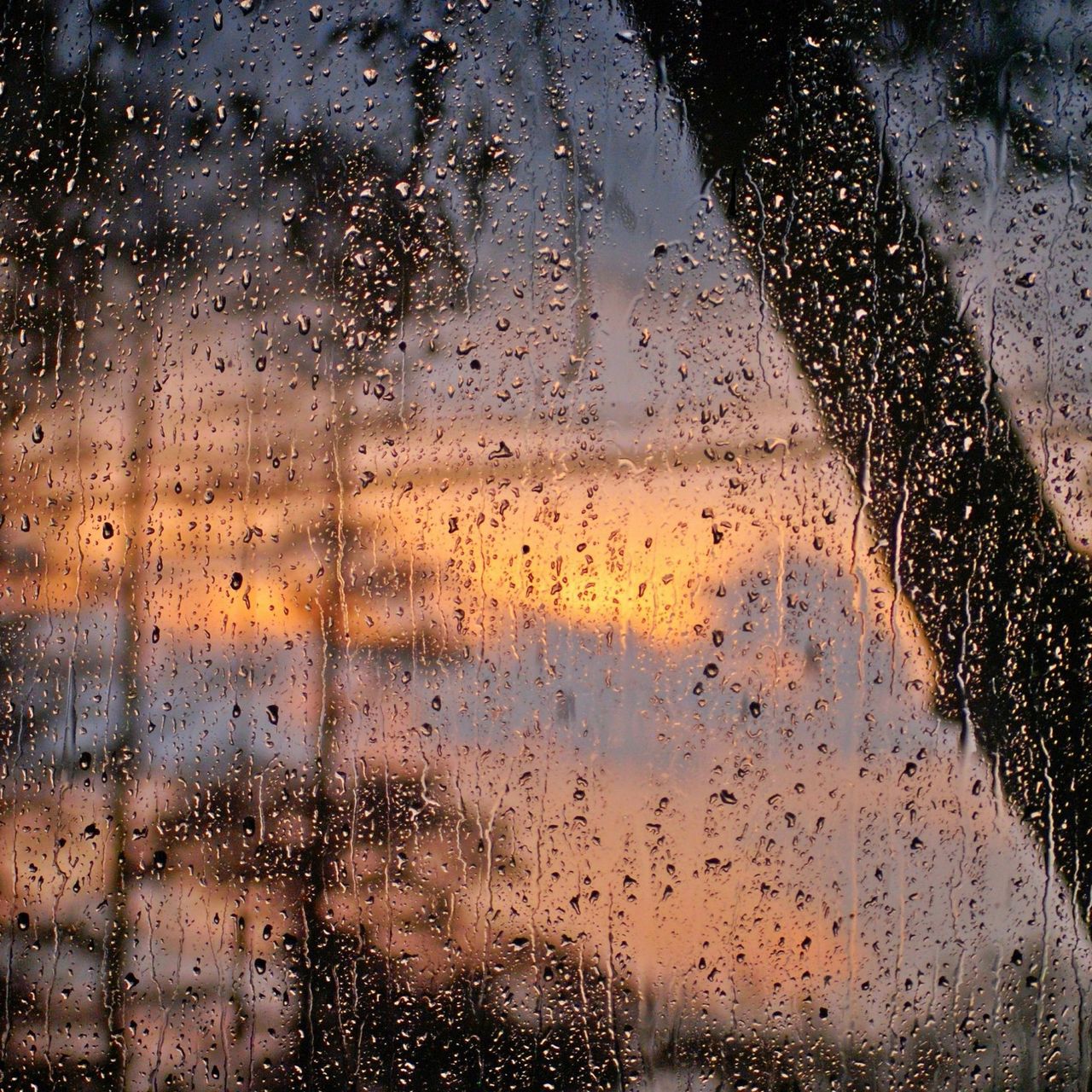 A shot from a rain-dropped window of a landscape of palm trees.